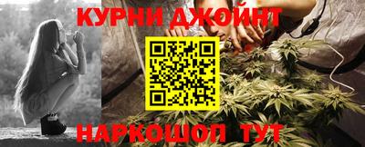 гидра Гай
