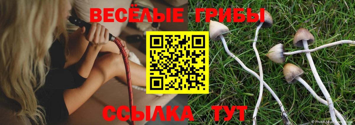 где найти   Вход с VPN  Можайск  Галлюциногенные грибы мухоморы 